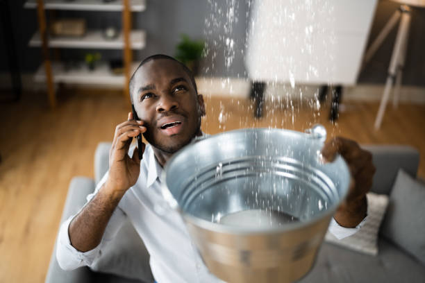 Best Mold removal after water damage  in Carolina Forest, SC