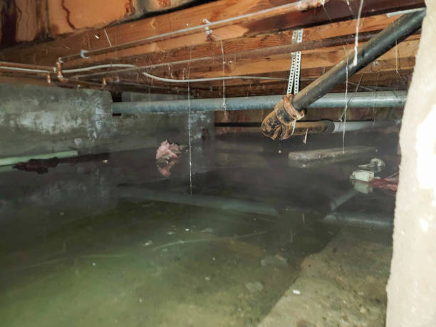 Best Water damage restoration near me  in Carolina Forest, SC