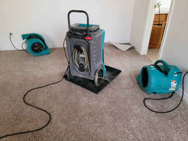 Best Flooded house restoration  in Carolina Forest, SC