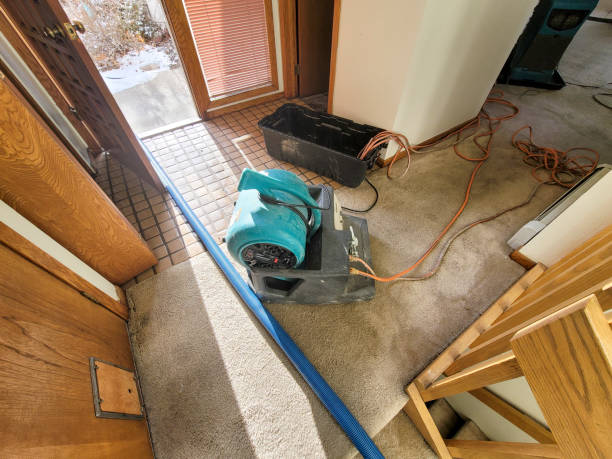 Best Sewage cleanup and water damage restoration  in Carolina Forest, SC