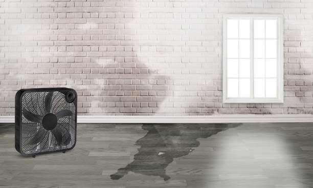 Best 24/7 water damage repair  in Carolina Forest, SC