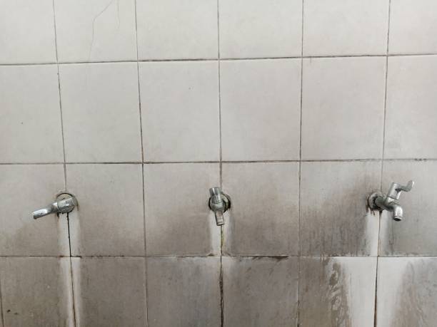 Best Professional water damage repair  in Carolina Forest, SC