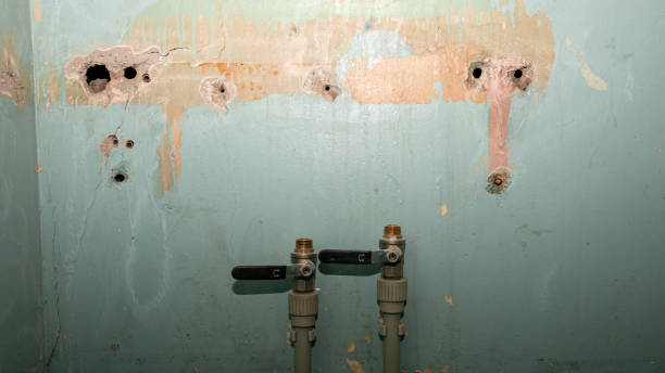 Best Sewage cleanup and water damage restoration  in Carolina Forest, SC