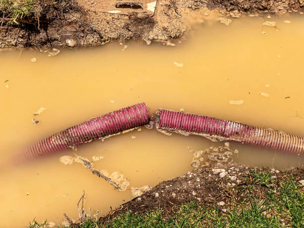 Best Water damage restoration near me  in Carolina Forest, SC