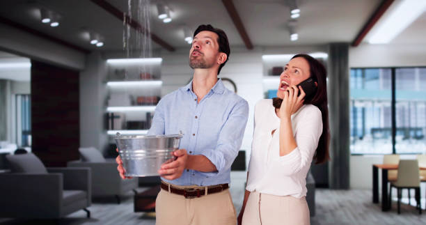 Best Commercial water damage restoration  in Carolina Forest, SC