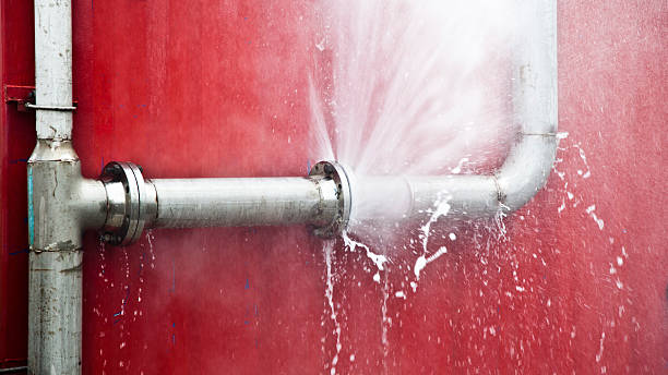 Best Professional water damage repair  in Carolina Forest, SC